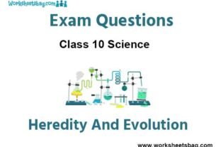 Heredity And Evolution Exam Questions Class 10 Science