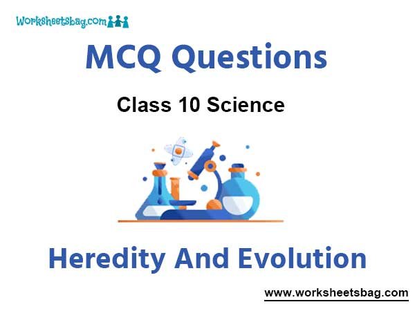 Heredity And Evolution MCQ Questions Class 10 Science