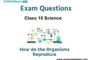 How do the Organisms Reproduce Exam Questions Class 10 Science