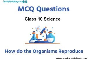 How do the Organisms Reproduce MCQ Questions Class 10 Science