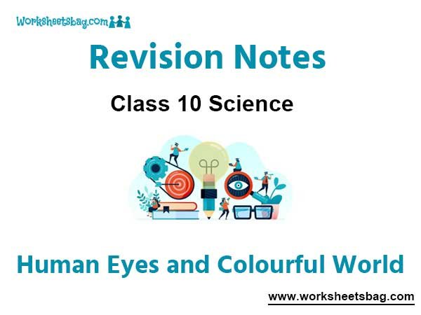 Human Eyes and Colourful World Revision Notes