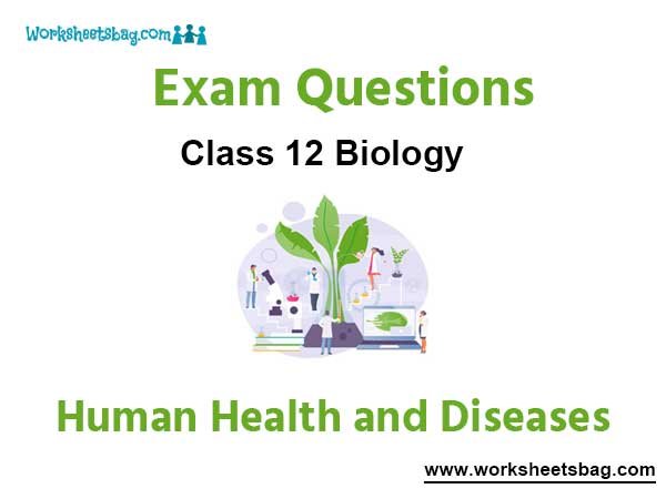 Human Health and Diseases Exam Questions Class 12 Biology