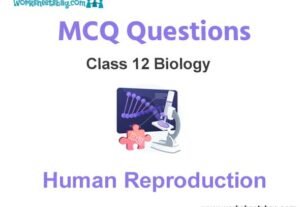 Human Reproduction MCQ Questions Class 12 Biology