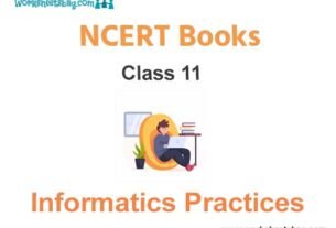 NCERT Book for Class 11 Informatics Practices