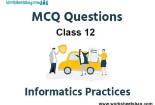 MCQ Questions for Class 12 Informatics Practices