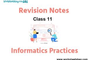 Class 11 Informatics Practices Notes