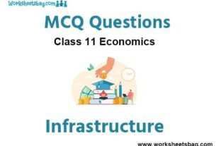 MCQ Questions Chapter 8 Infrastructure Class 11 Economics