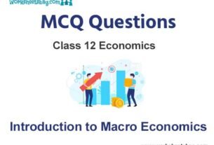 Introduction to Macro Economics MCQ Questions Class 12 Economics