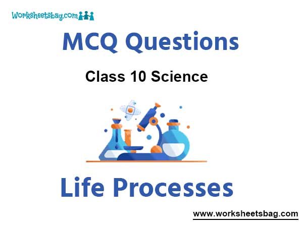 Life Processes MCQ Questions Class 10 Science
