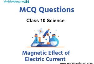 Magnetic Effect of Electric Current MCQ Questions Class 10 Science