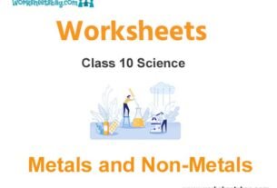 Worksheets Class 10 Science Metals and Non- Metals