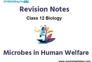 Notes Microbes in Human Welfare Class 12 Biology