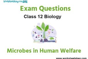 Microbes in Human Welfare Exam Questions Class 12 Biology