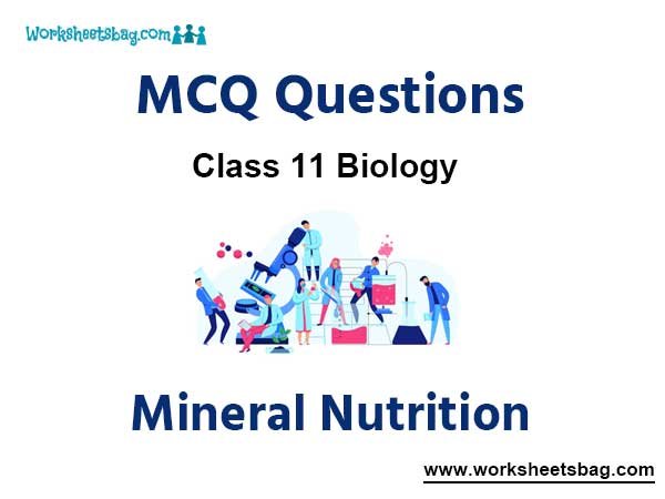 Mineral Nutrition MCQ Questions Class 11 Biology