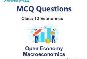 Open Economy Macroeconomics MCQ Questions Class 12 Economics