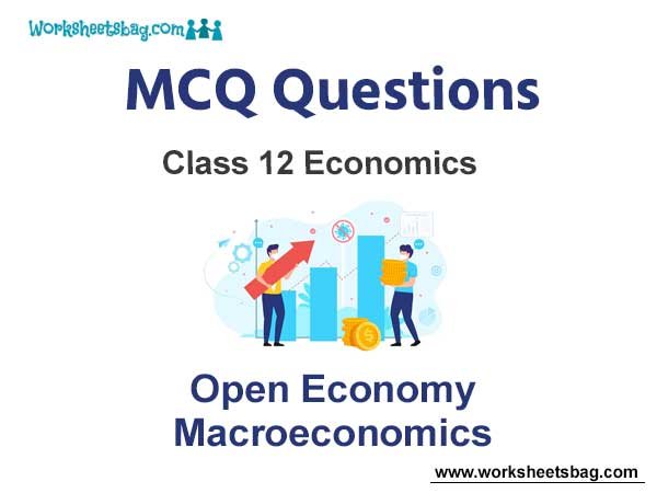 Open Economy Macroeconomics MCQ Questions Class 12 Economics