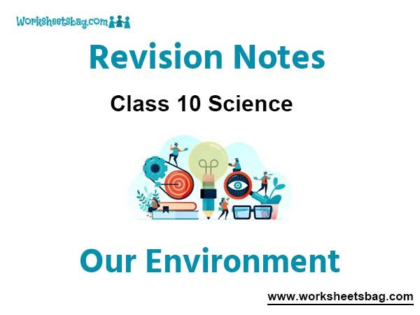 Our Environment Revision Notes