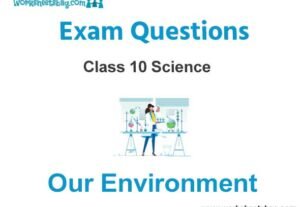 Our Environment Exam Questions Class 10 Science