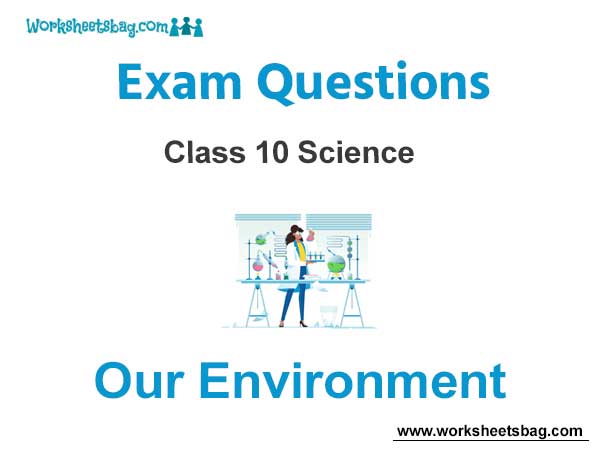 Our Environment Exam Questions Class 10 Science