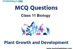 Plant Growth and Development MCQ Questions Class 11 Biology