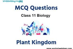 Plant Kingdom MCQ Questions Class 11 Biology