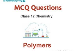 Polymers MCQ Questions Class 12 Chemistry