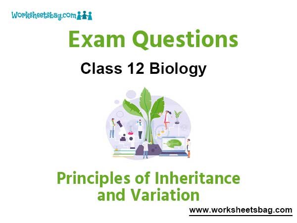 Principles of Inheritance and Variation Exam Questions Class 12 Biology