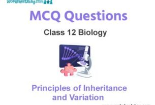 Principles of Inheritance and Variation MCQ Questions Class 12 Biology