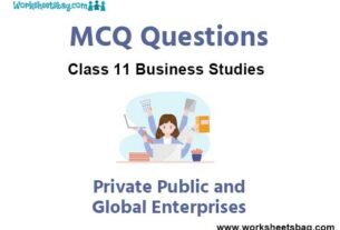 Private Public and Global Enterprises MCQ Questions Class 11 Business Studies