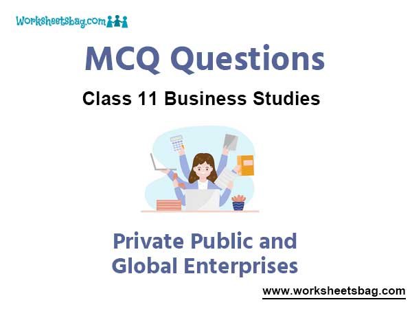 Private Public and Global Enterprises MCQ Questions Class 11 Business Studies