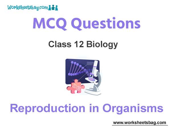 Reproduction in Organisms MCQ Questions Class 12 Biology