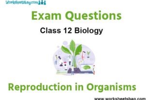 Reproduction in Organisms Exam Questions Class 12 Biology