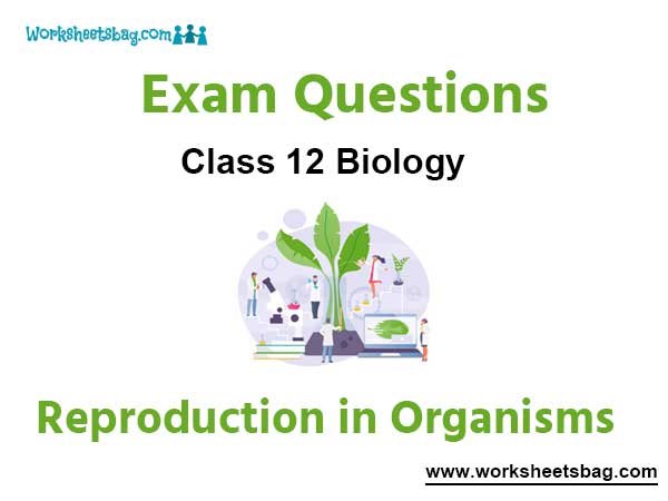 Reproduction in Organisms Exam Questions Class 12 Biology