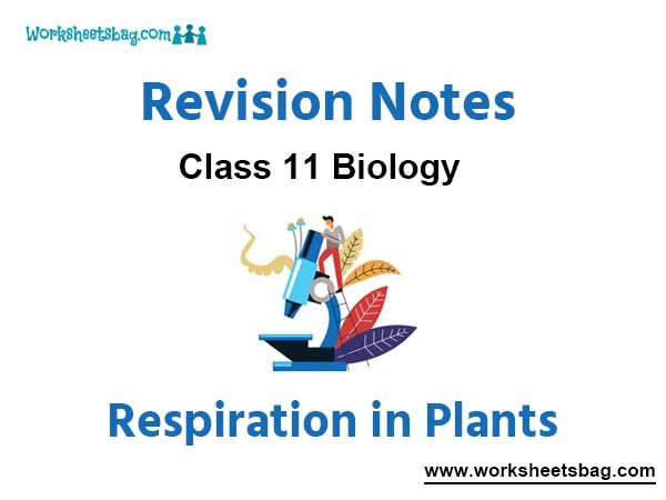 Notes Respiration in Plants Class 11 Biology