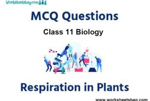 Respiration in Plants MCQ Questions Class 11 Biology