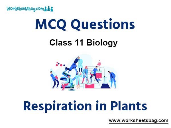 Respiration in Plants MCQ Questions Class 11 Biology