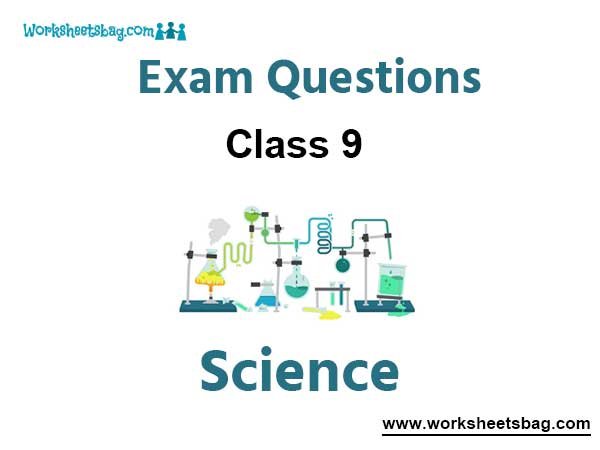 Science Class 9 Exam Questions