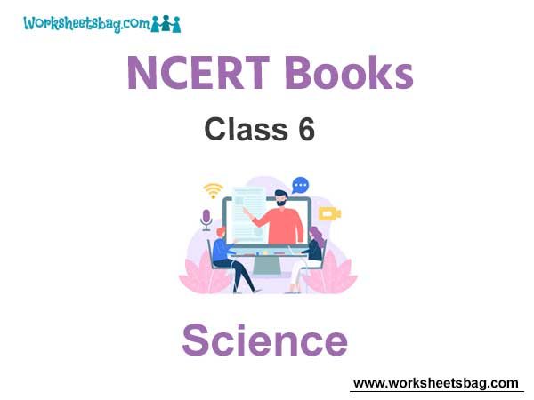 NCERT Book for Class 6 Science 