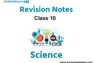Revision Notes for Class 10 Science