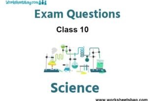 Science Class 10 Exam Questions