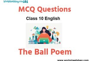 The Ball Poem MCQ Questions Class 10 English