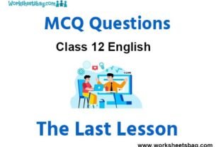 The Last Lesson MCQ Questions Class 12 English