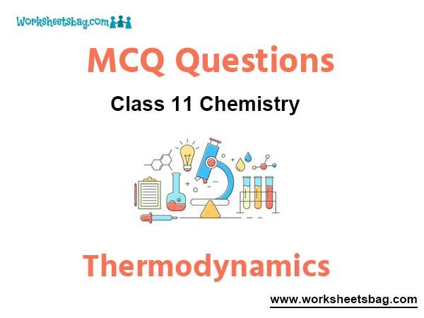 Thermodynamics MCQ Questions Class 11 Chemistry