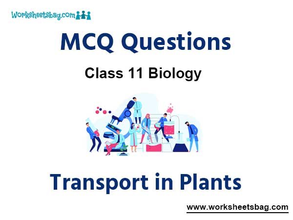 Transport in Plants MCQ Questions Class 11 Biology