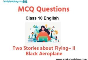 Two Stories about Flying– II. Black Aeroplane MCQ Questions Class 10 English