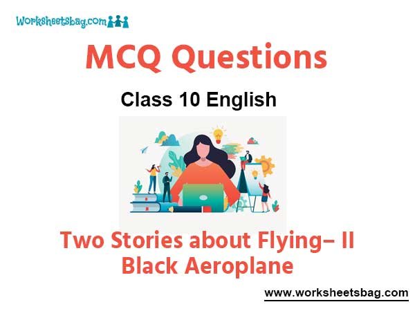 Two Stories about Flying– II. Black Aeroplane MCQ Questions Class 10 English