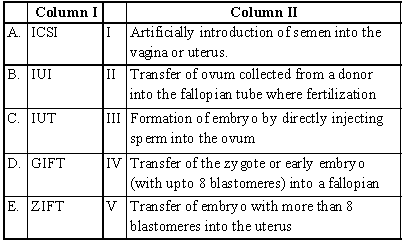 Worksheets Class 12 Biology Reproductive Health