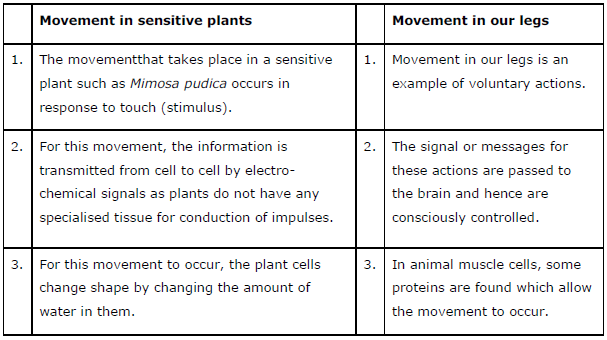 Worksheets Chapter 7 Control and Coordination Class 10 Science