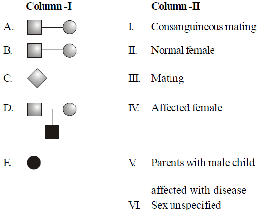 Worksheets Class 12 Biology Principles of Inheritance and Variation