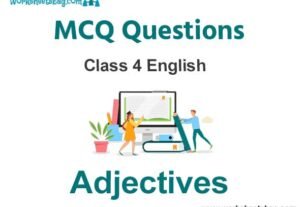 Adjectives MCQ Questions Class 4 English